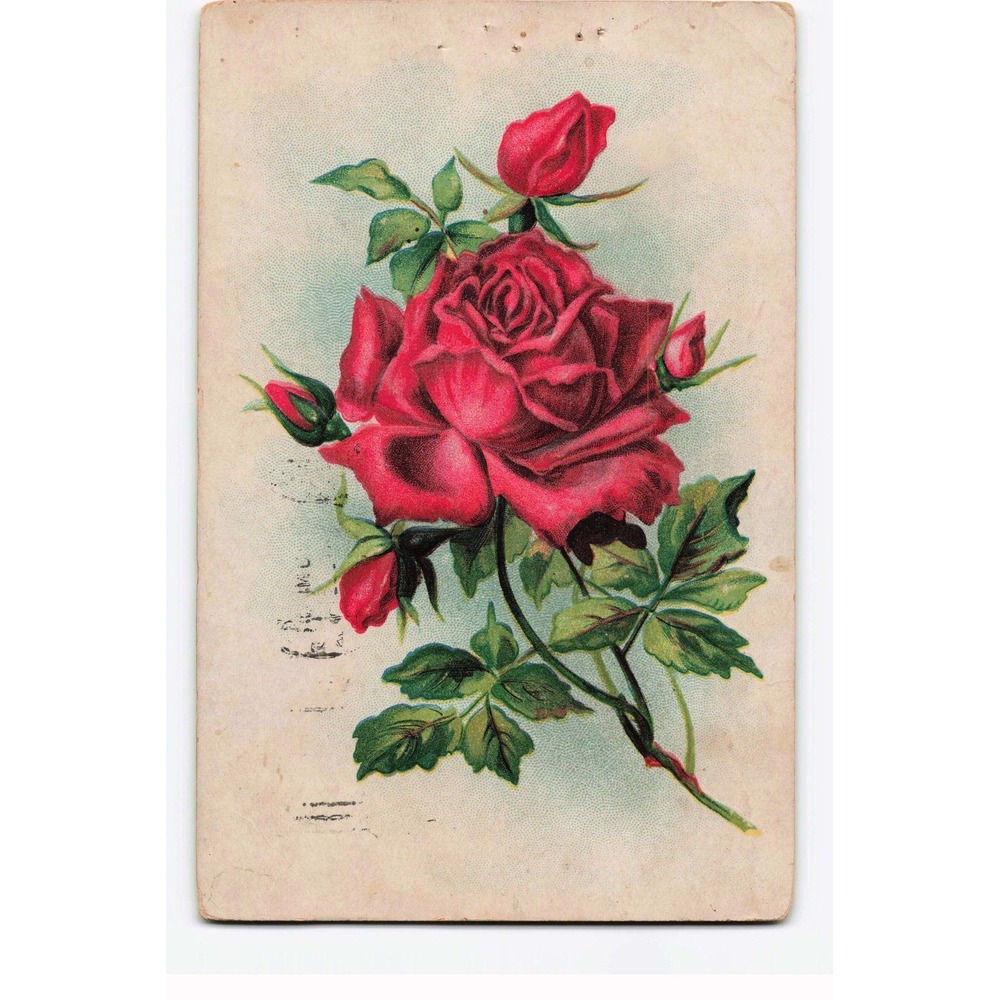 Vintage 1908 Red Rose Embossed Postcard Kittanning PA George Washington Stamp